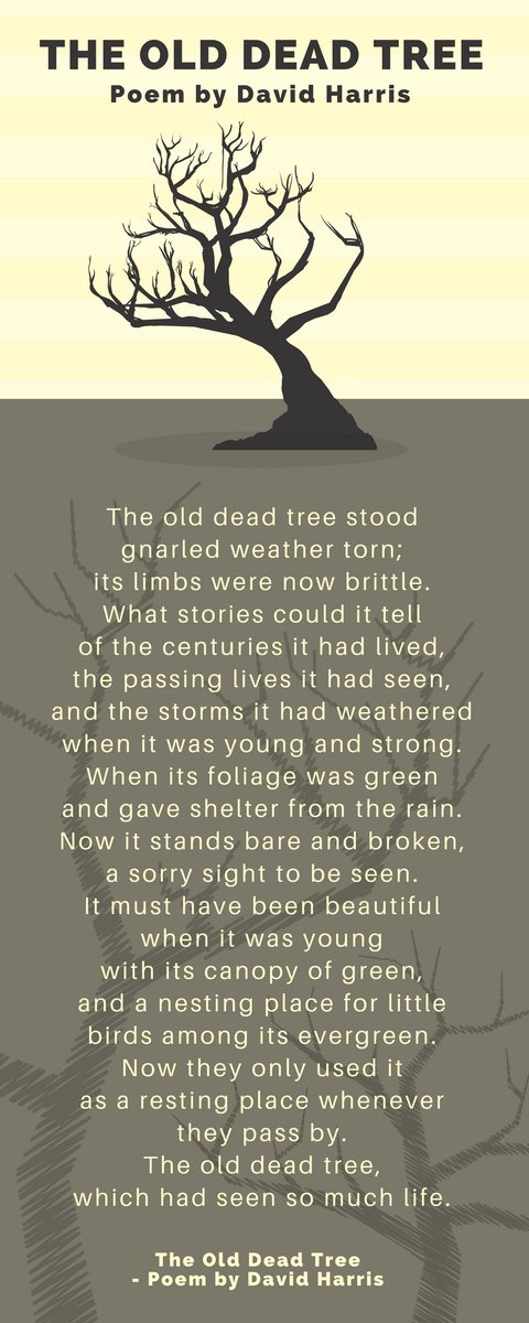 kaingo_reserve's tweet photo. #Poetry @kaingo_reserve https://t.co/uoIJVMF0Eo