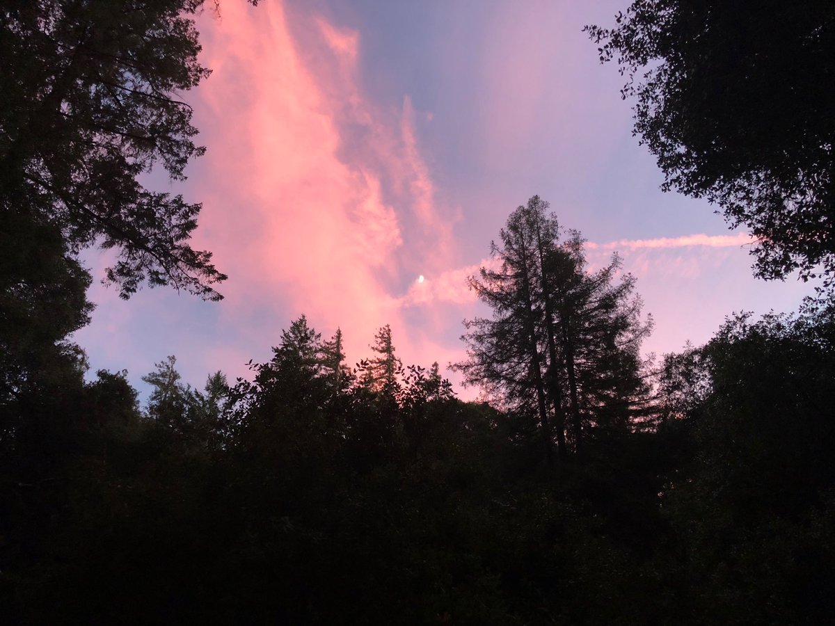 Vikram Dutt On Twitter Beautiful Twilight View At Hendy Woods