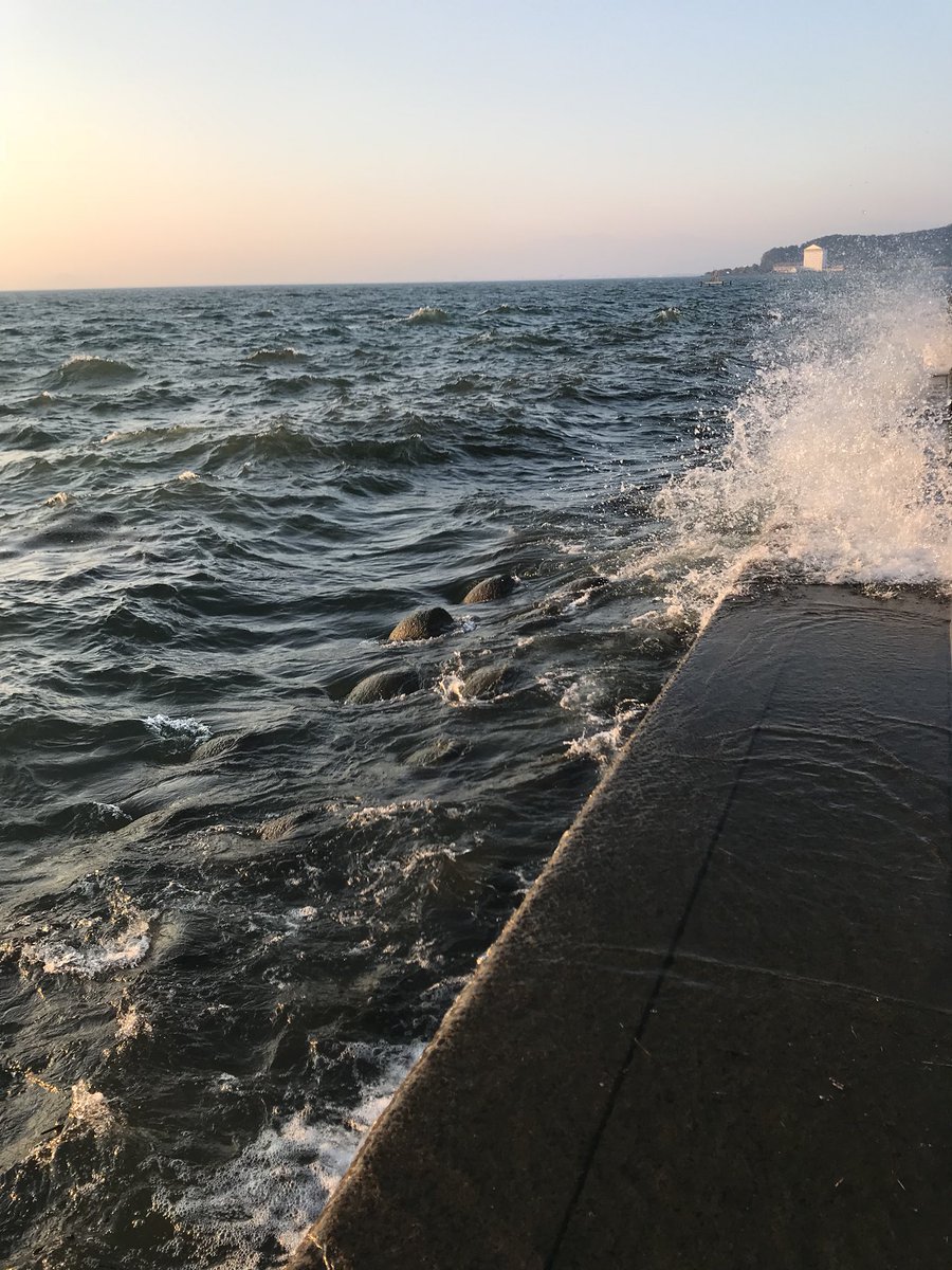 リンリュウ tweet media