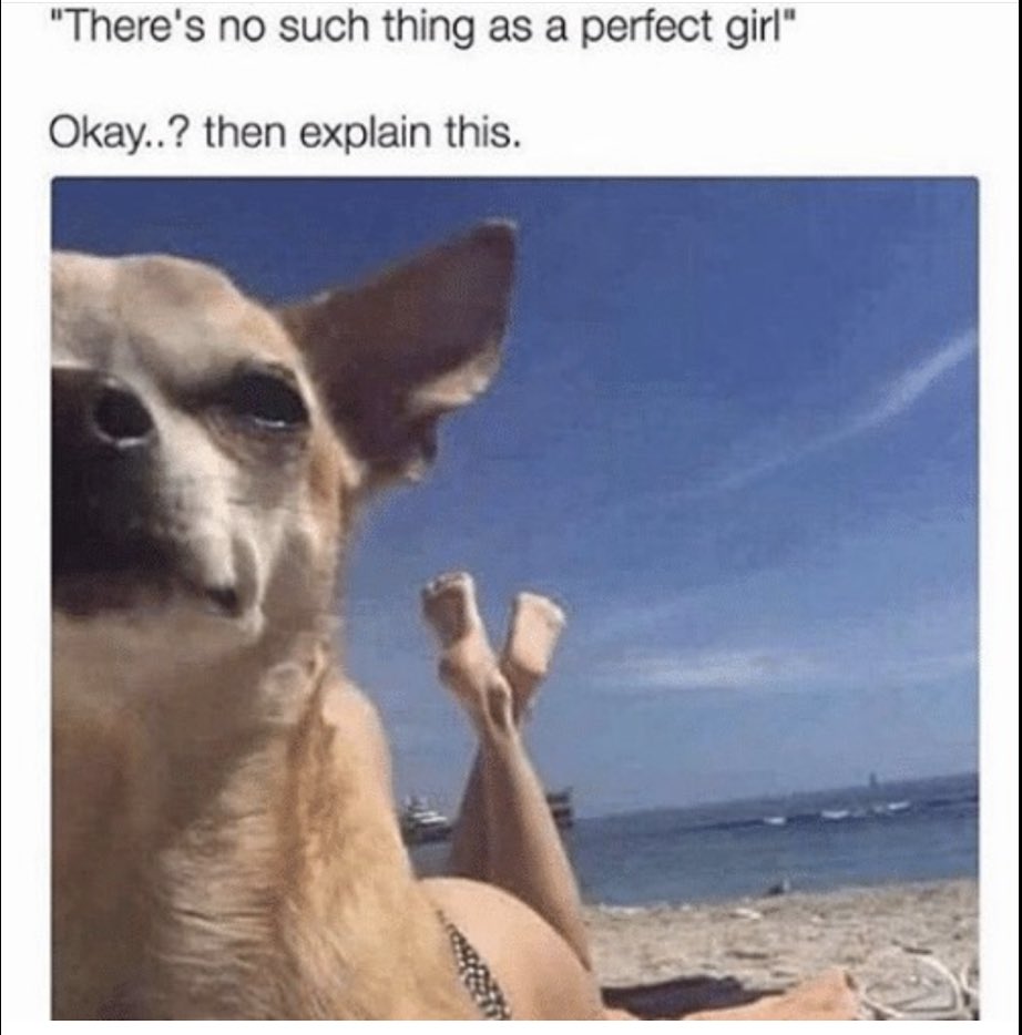 50 Shades of Awkward tweet media