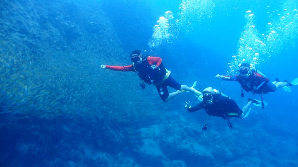 monkeydivesph's tweet photo. UNDERWATER SPIDERMAN.
Oh ya.. We are Spider Monkey? Hahaha.
https://t.co/hZ3RXlfX68
#monkeydivesph
#monkeydivesfamilymembers https://t.co/CnRGTte48Y