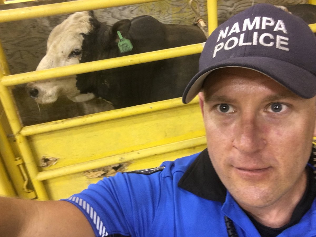 NampaPolice1's tweet photo. Nampa Police SROs are assigned to the @SRSRodeo this week. Talk about #FunAtWork ...someone’s got to do it! Right? #ToughAssignment 
Officer Deny Burns posed with this rodeo star. He refused to get any closer! #SmartMove #YeeHaw #CowboyUp #SnakeRiverStampede #NPDSRO 🤠 https://t.co/box06x7TEg