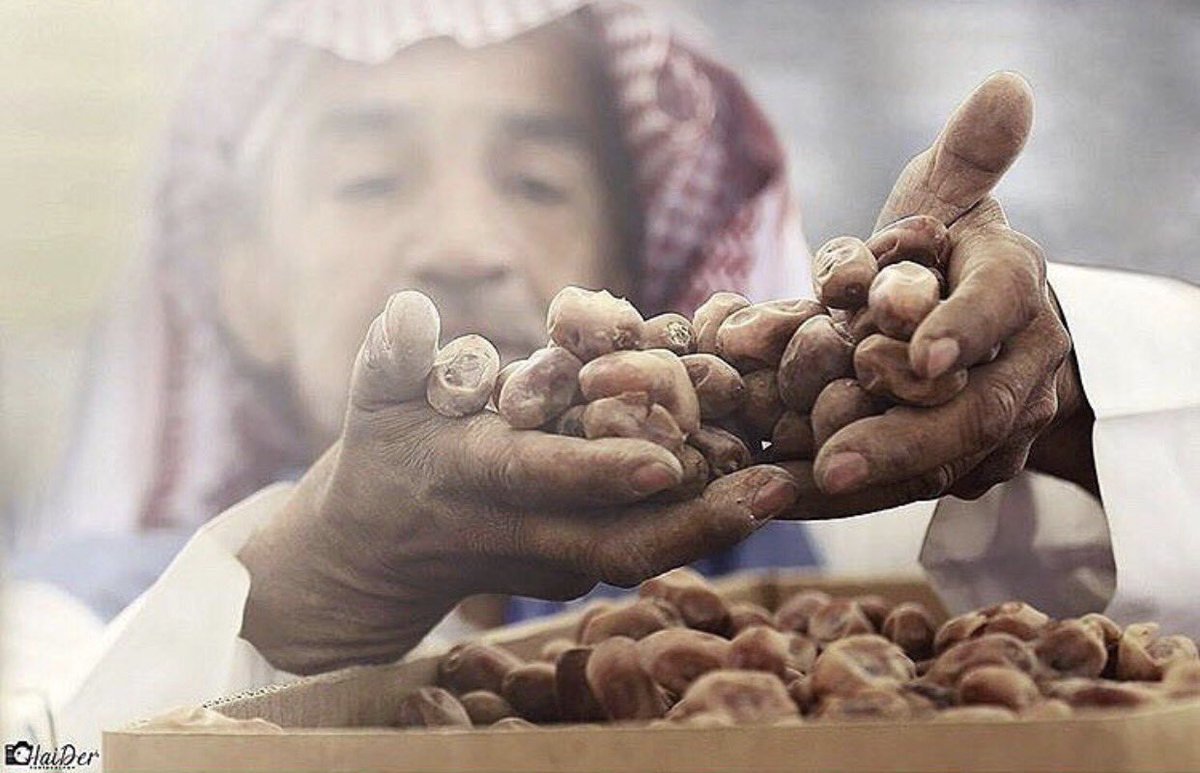 #تمر_الحسا_غير