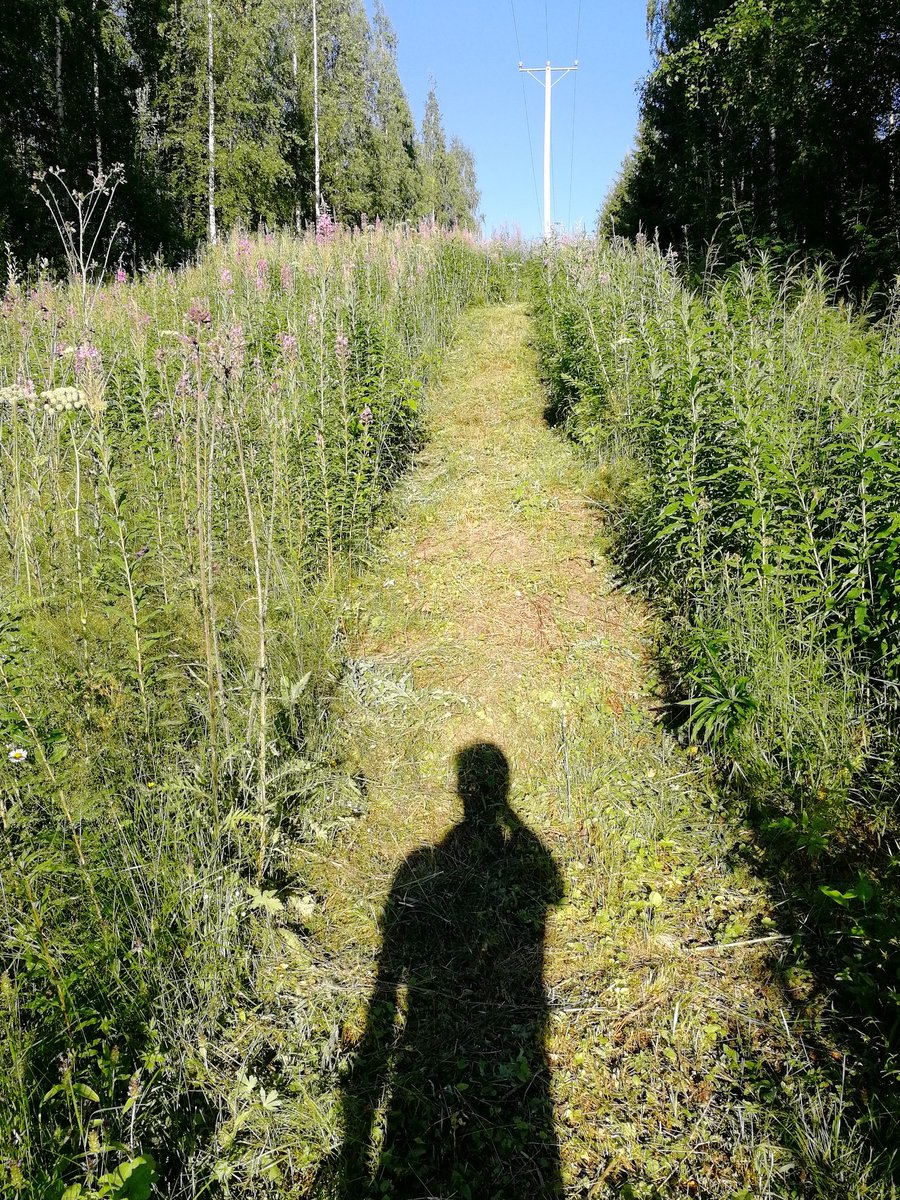 Kiitos <a href="/tuusniemenkunta/">Tuusniemen kunta</a> hyvin merkitystä Kaavinkoski - Rotkolaakso - reitistä. Pääosin myös vähintään kohtuullisessa kunnossa. Vaan mistä lisää kulkijoita?