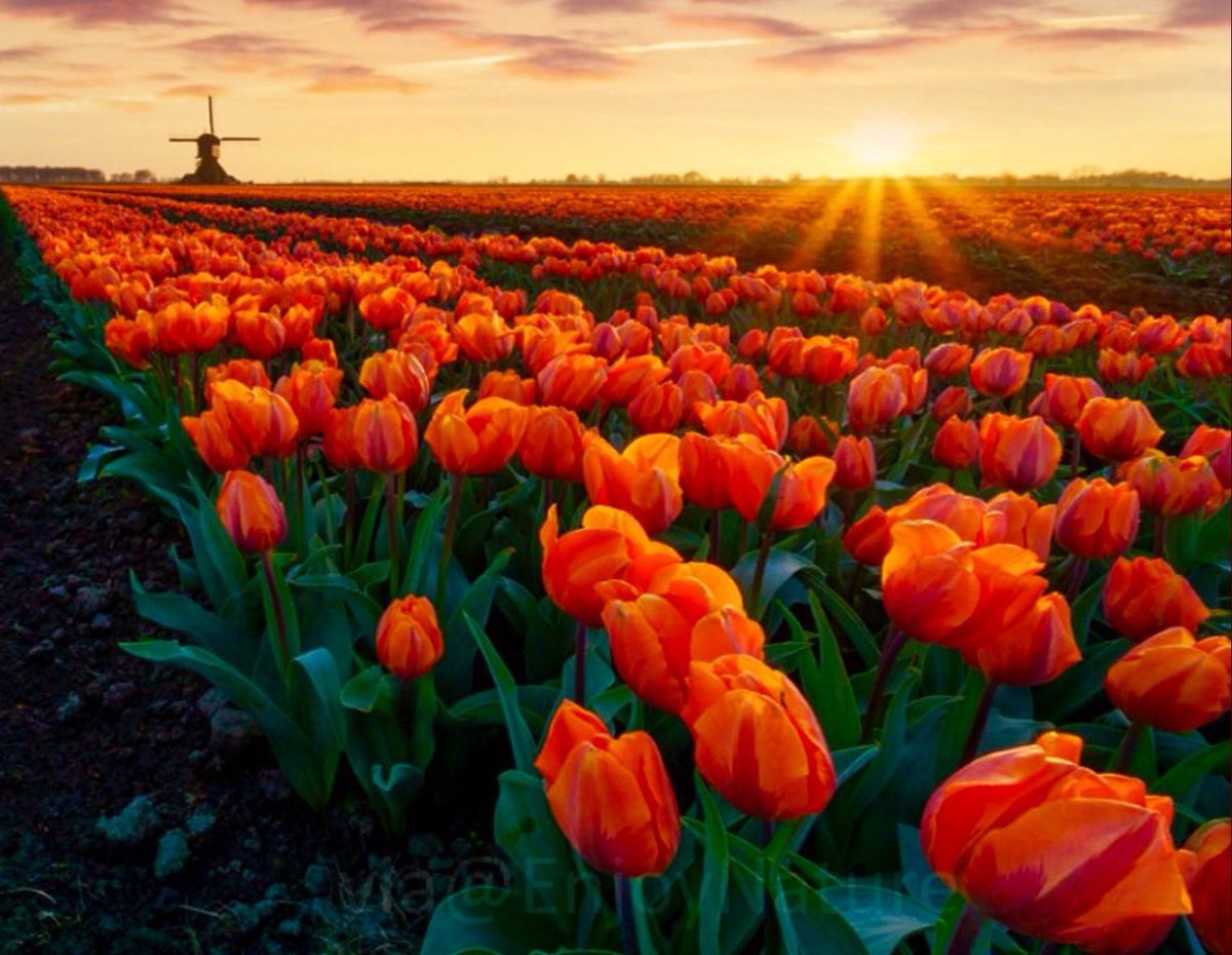 coskunmancuhan's tweet image. Güneşin doğduğu
Her yeni gün bir umuttur...
Günaydın ,yaşama,
Umuda,sevgiye 
Günaydın Günaydın

..#Kaldırın bugün ne kadar engel varsa güneşle aranızda, elinizin değdiği her şey gökyüzü koksun. 
Ataol Behramoğlu.