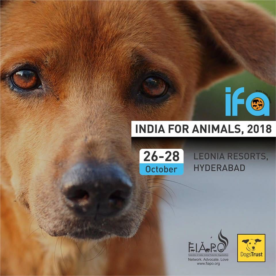 Blue Cross Hyderabad (bluecrosshyd) Twitter