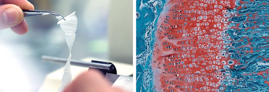 JHistol's tweet photo. Advanced uses of #immunohistochemistry in #histology and #histopathology
https://t.co/RXwcbRdzk6 https://t.co/S3Y8jBsMUZ