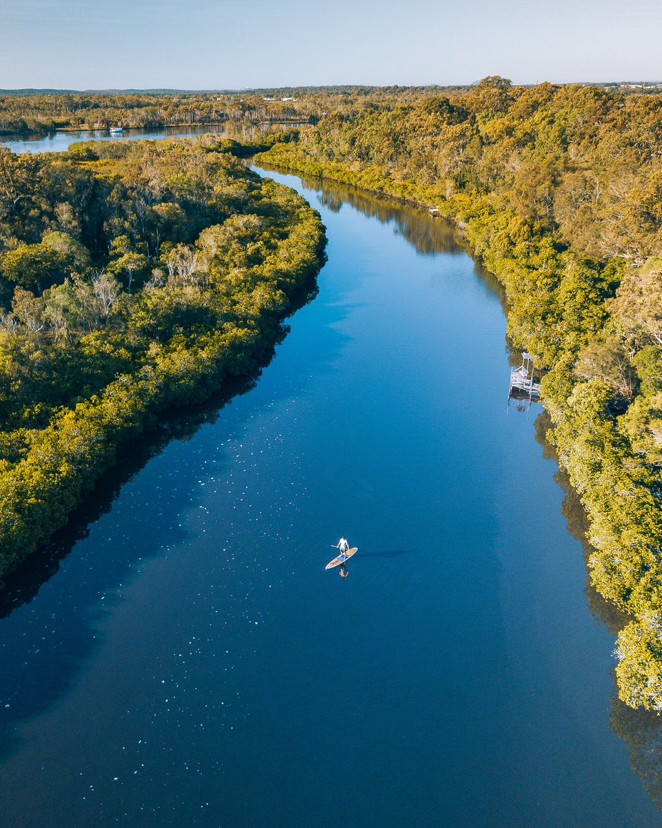 noosa's tweet photo. Another perfect morning today for a little SUP boarding along the Noosa River with Noosa Stand Up Paddle 👌💙 Photo: @jesselindemann #VisitNoosa #RelaxationCapital https://t.co/YKAvX9bDxT
