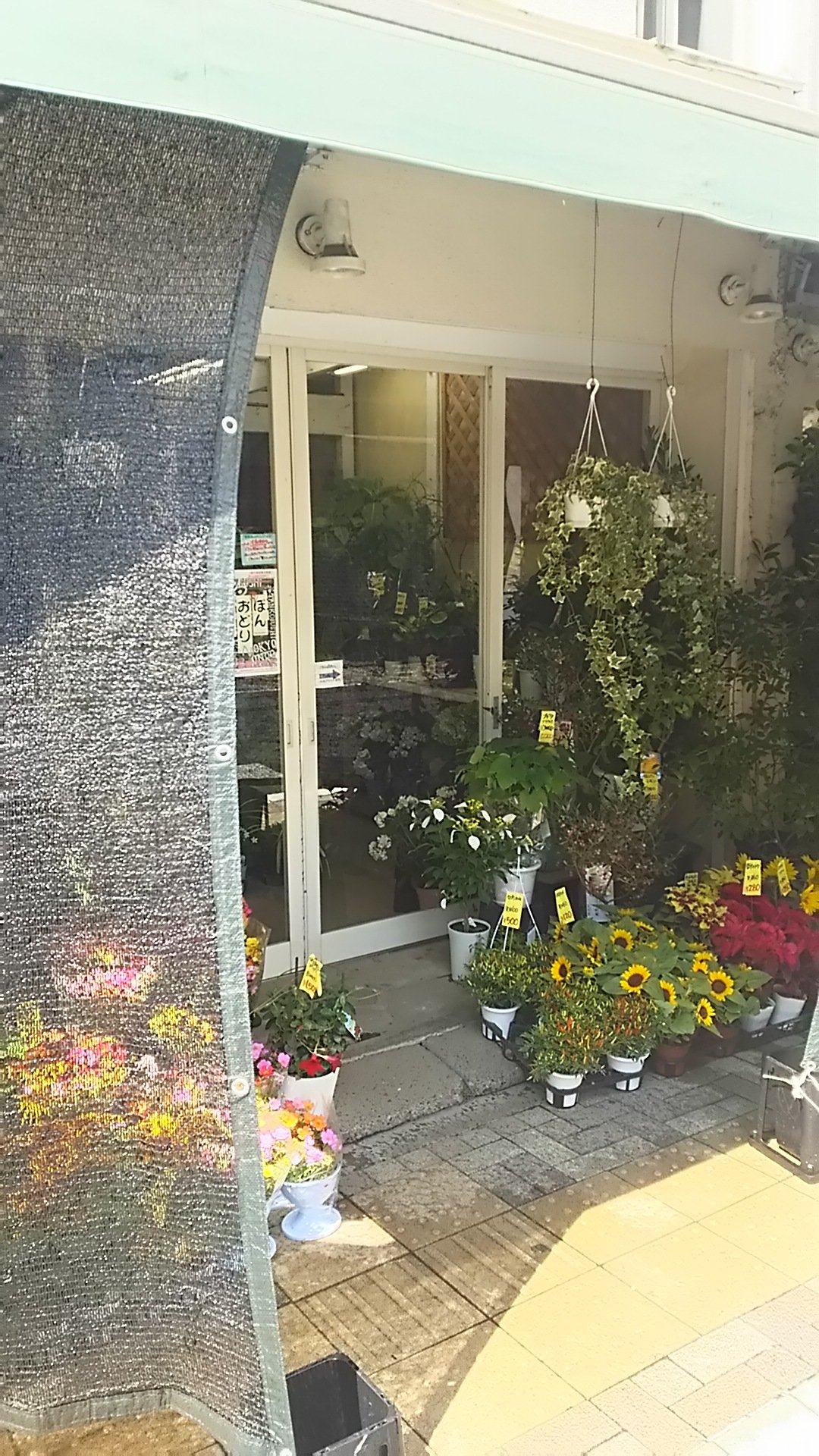代々木上原 青山の花市場 Air Twitter
