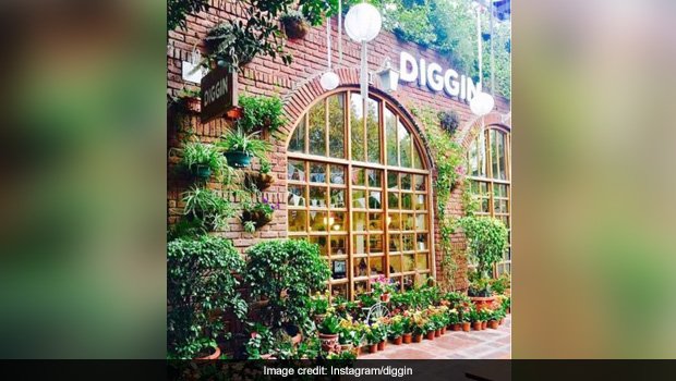 NDTVFood's tweet photo. These Insta-Worthy Cafes In #Delhi Are A Visual Treat. 
@thegrammarroom @Rosecafe_Delhi @chefSaby
https://t.co/3WnO91KIgM https://t.co/MDFF7Ts4Xj