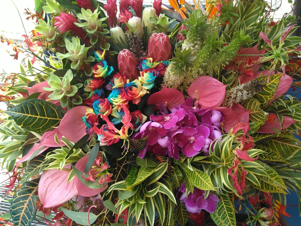 はなしごと いよいよ明日open お祭だよ けものフレンズがーでん2様 Kemono Matsuri の開店祝い ジャングルスタンド花 T Co Ajewsi8ajm 熱帯 ジャングルのイメージで賑やかに 熱帯特有の花 ジャングルにいそうなカラフルな鳥をイメージした