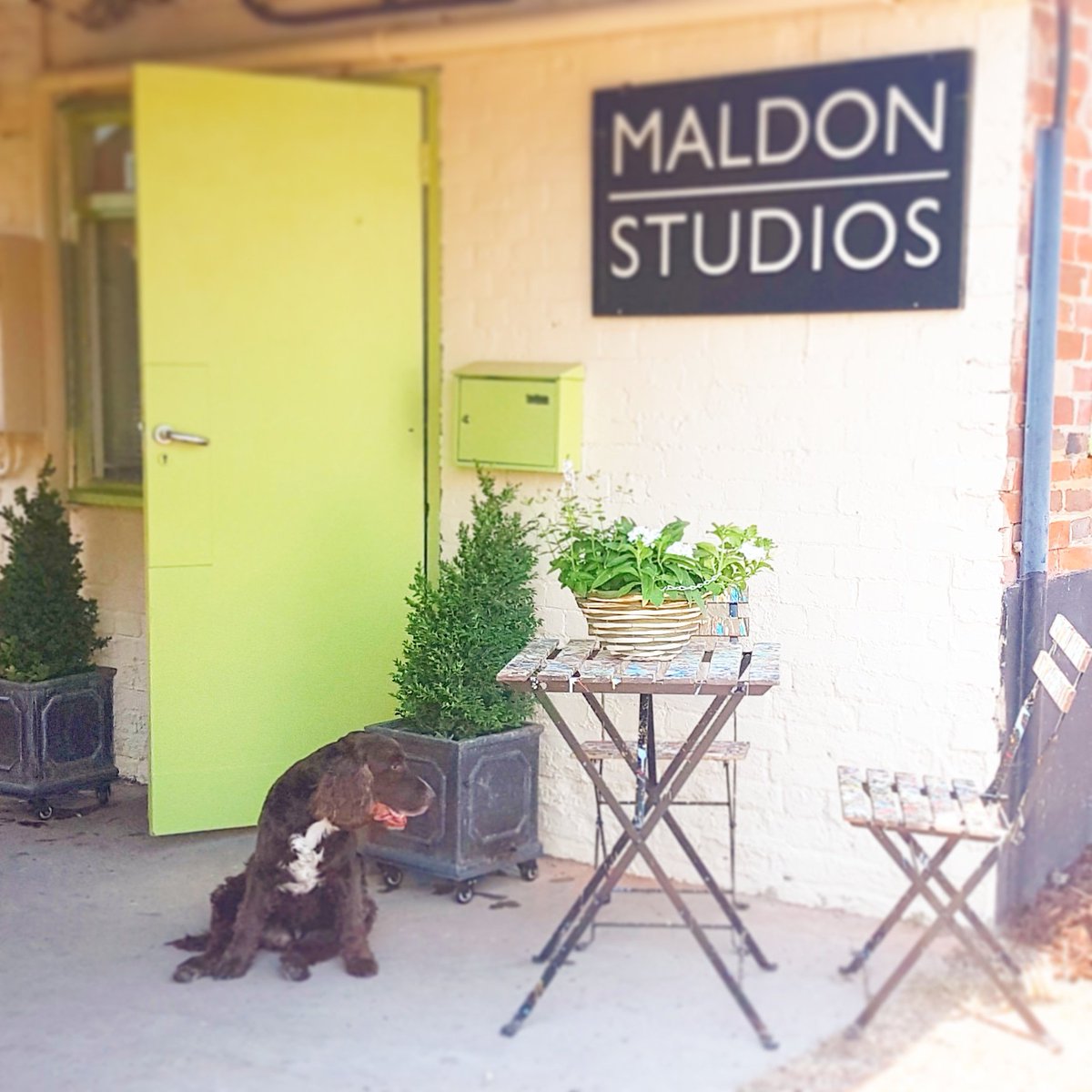 MaldonStudios's tweet photo. Fancy trying your hand at painting? Beginners painting sessions in Thursday Evening in our lovely studios, just off of Maldon High Street. All materials provided with your local artist @MaldonArtist 7pm-9pm. Call to book! @MaldonTIC  @visitmaldon #VisitMaldon #ThingsToDoInMaldon https://t.co/nHtoSBQ0KY