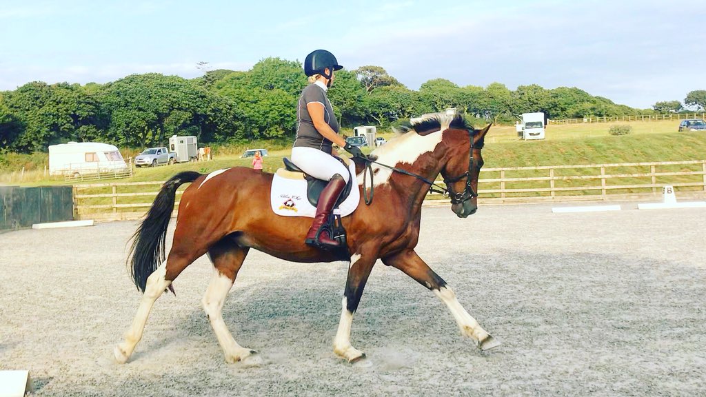 LifeOTLR's tweet photo. Back in the game 🙌
First test of 2018 complete!! 73.5% & 2nd place ~ he was a little angel 😇
Now to focus on fitness and work off that holiday belly 🙈
#backinthegame #bluechipbanksy
#LifeOTLR https://t.co/DDLdE6yrT6
