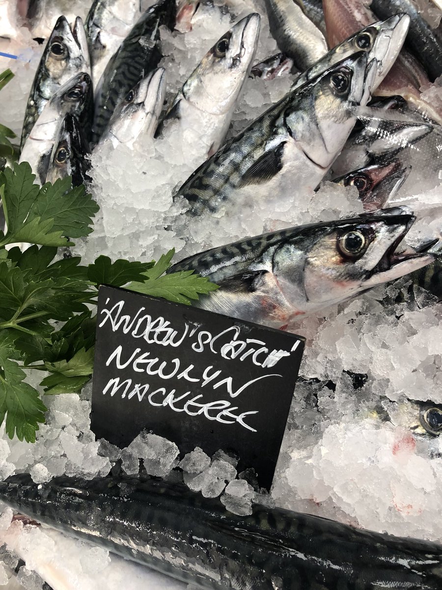 Passion4fish's tweet photo. They’re here and they’re beauties. Thanks @cornish_lobster you’ve done it again #NewlynMackerel #AndrewsCatch 😚 https://t.co/k6MSTtPZY6