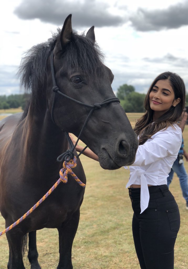 Did01l1XcAMDKAS?format=jpg