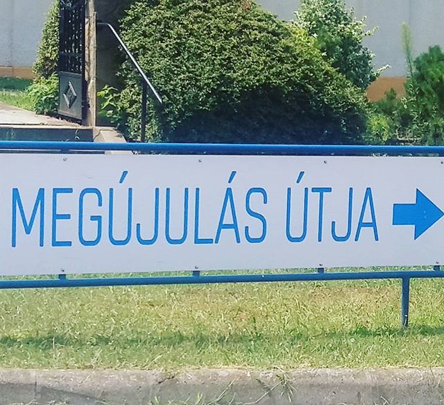 AlbatrossMirror's tweet photo. #megújulásútja https://t.co/lqEboOoc9b https://t.co/s5MDjEX7AL