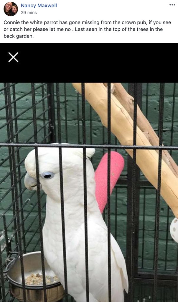 Keep an eye out for Connie...