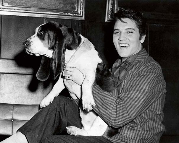 RIP_Pets's tweet photo. Elvis Presley with his hound dog! #ThrowbackThursday #DogsOfTwitter #doggo https://t.co/ugCgLynjvu