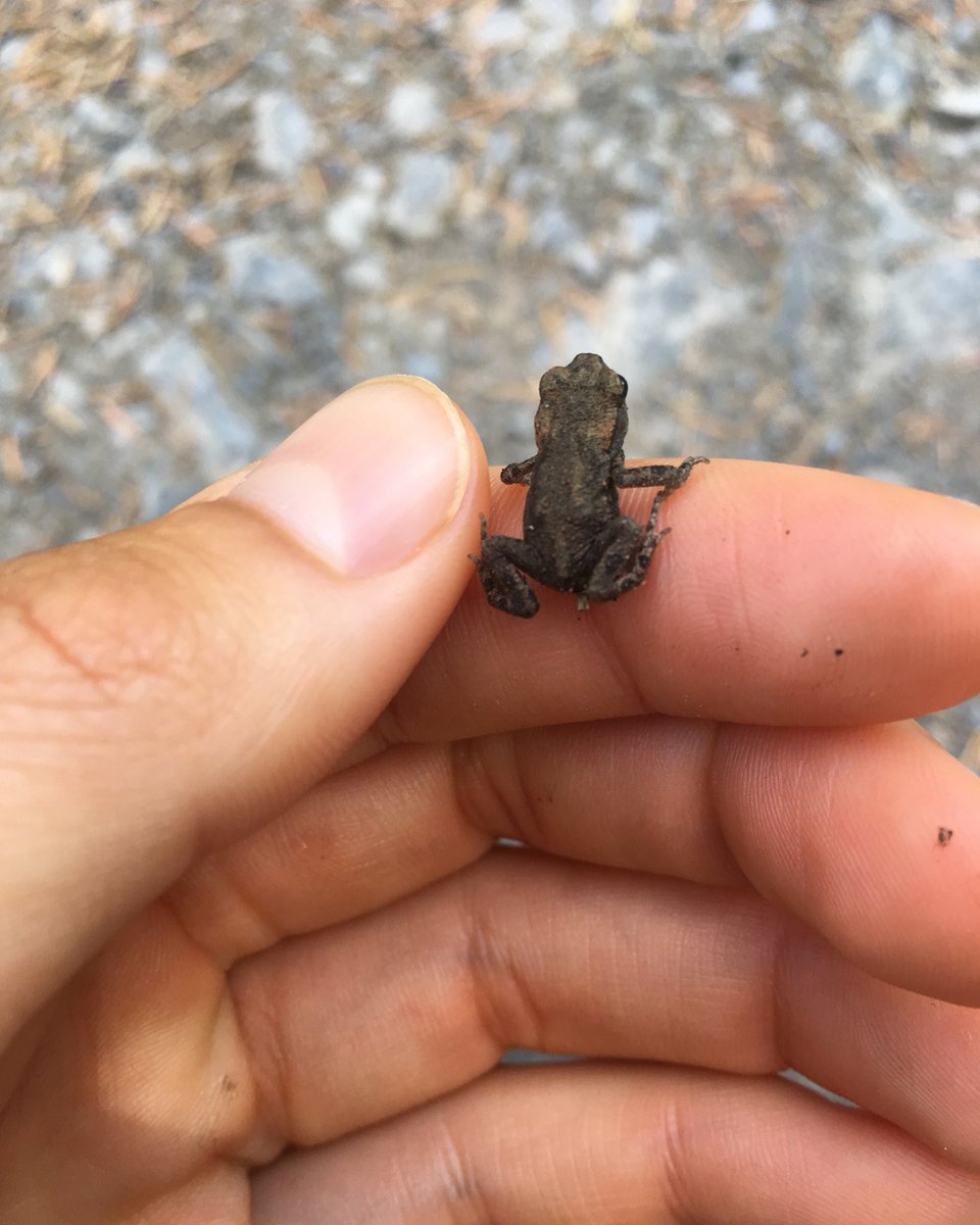 Alice 🦋🌻 tweet media