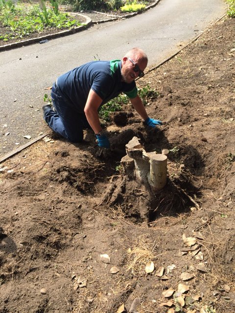 airproductsuki's tweet photo. We're having a great time #helpingourlocalcommunity at @beaumondhouse today as part of our #60for60 campaign. Here's Mark tackling some tree roots! #60thanniversary https://t.co/kQJdpPowDO