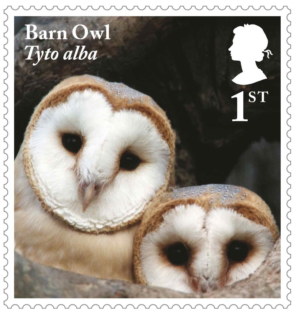 Owls Stamps - Social BAU