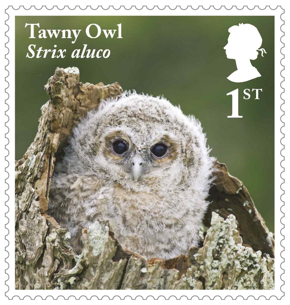 Owls Stamps - Social BAU