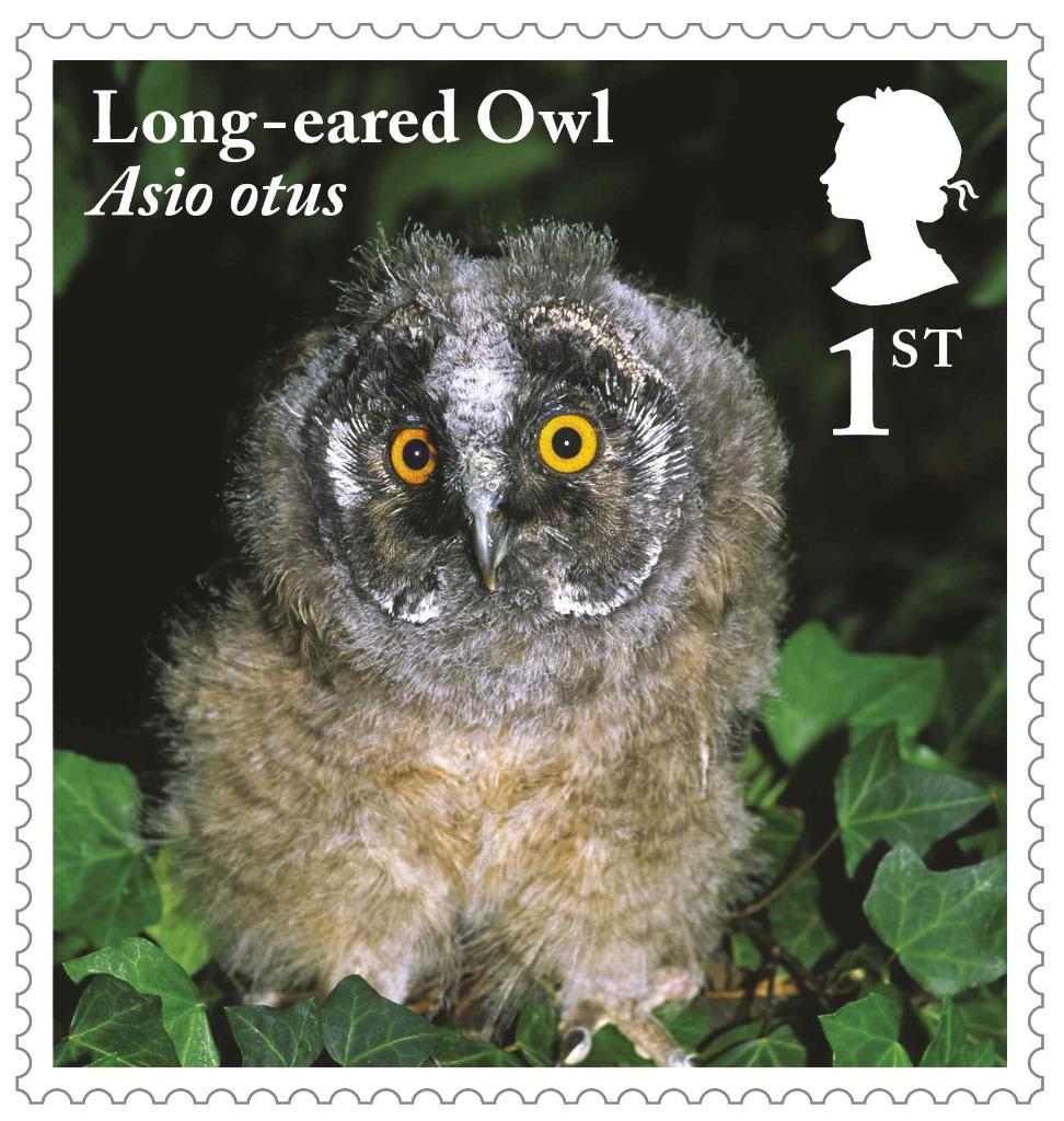 Owls Stamps - Social BAU