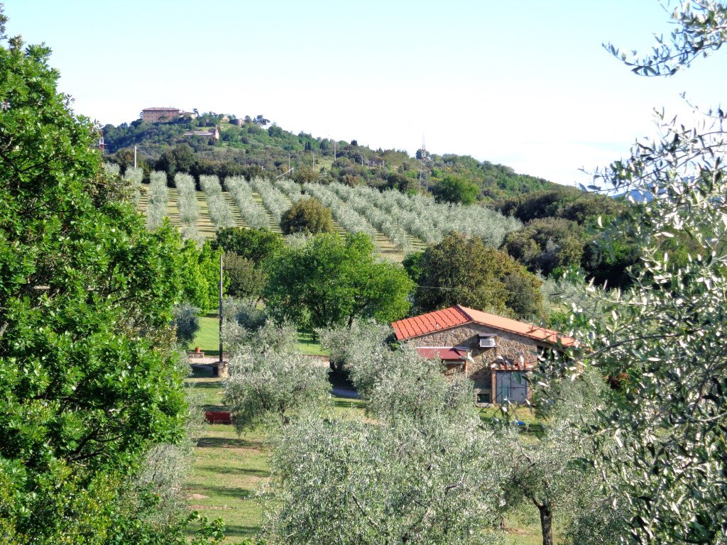 PureFoodTravel's tweet photo. Montali Country House in #Perugia is known as the best vegetarian restaurant in the world > https://t.co/qNOPw4u5Px https://t.co/PSdh6UVc8q
