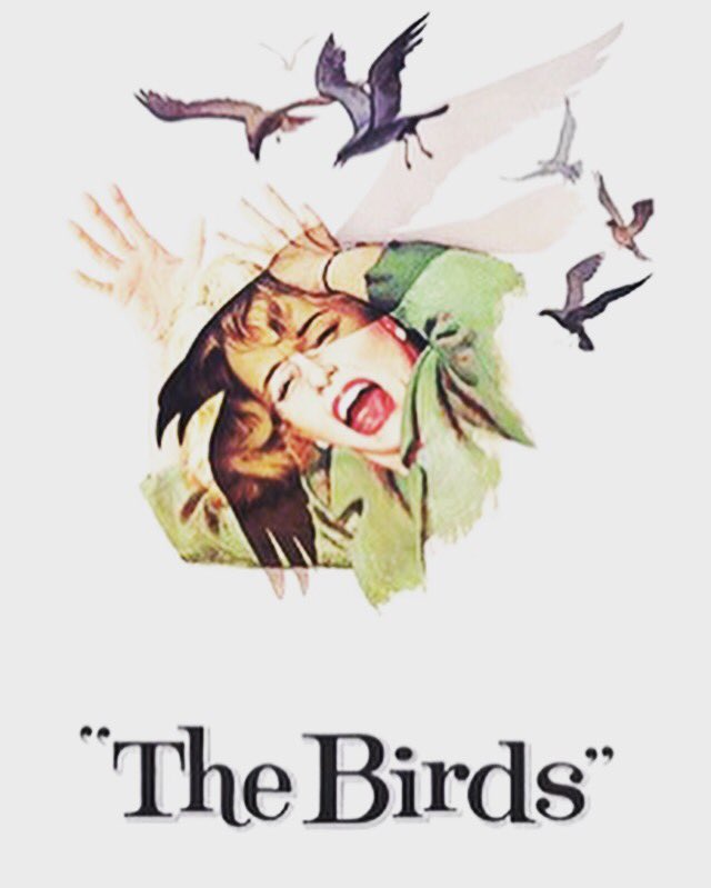JoinedUpWhiting's tweet photo. What living in Bath feels like @visitbath @bathnes @BathBID @bathlive @BathCoUK #gulls #birdfeaces #everywhere #doingmyheadin https://t.co/1KWZJHlnwy