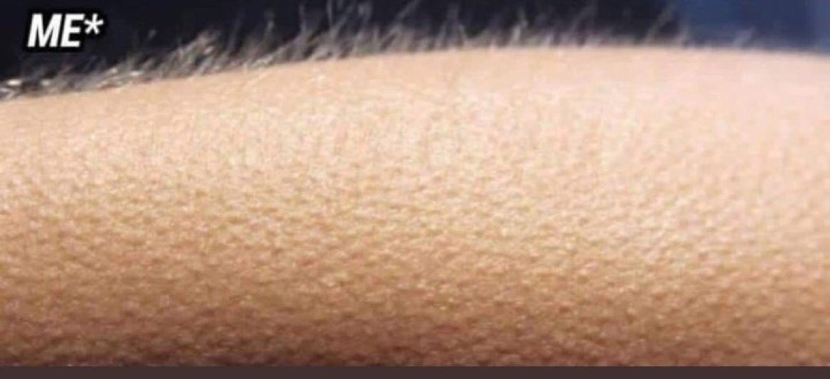 فريال tweet media