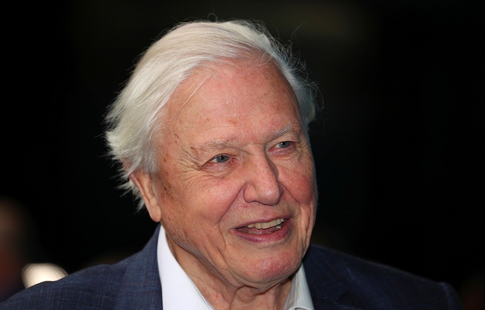World Economic Forum on Twitter: "David Attenborough: The ...