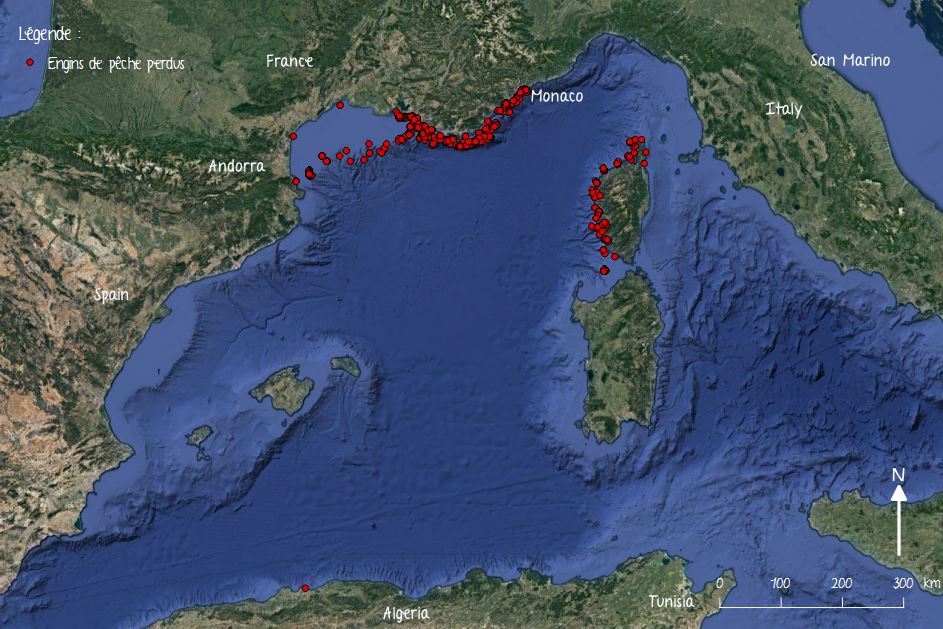 GhostMed tweet media