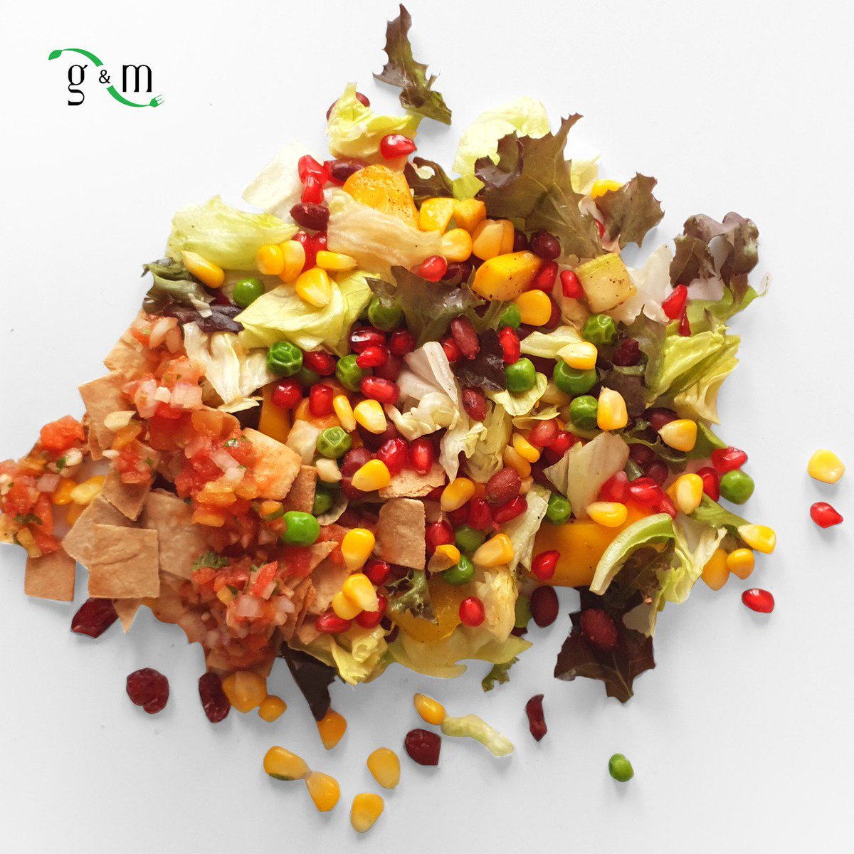 Greensandmore's tweet photo. Mexican salad for dinner with in-house crispy tortillas made of wheat https://t.co/2PE9EzCV0k