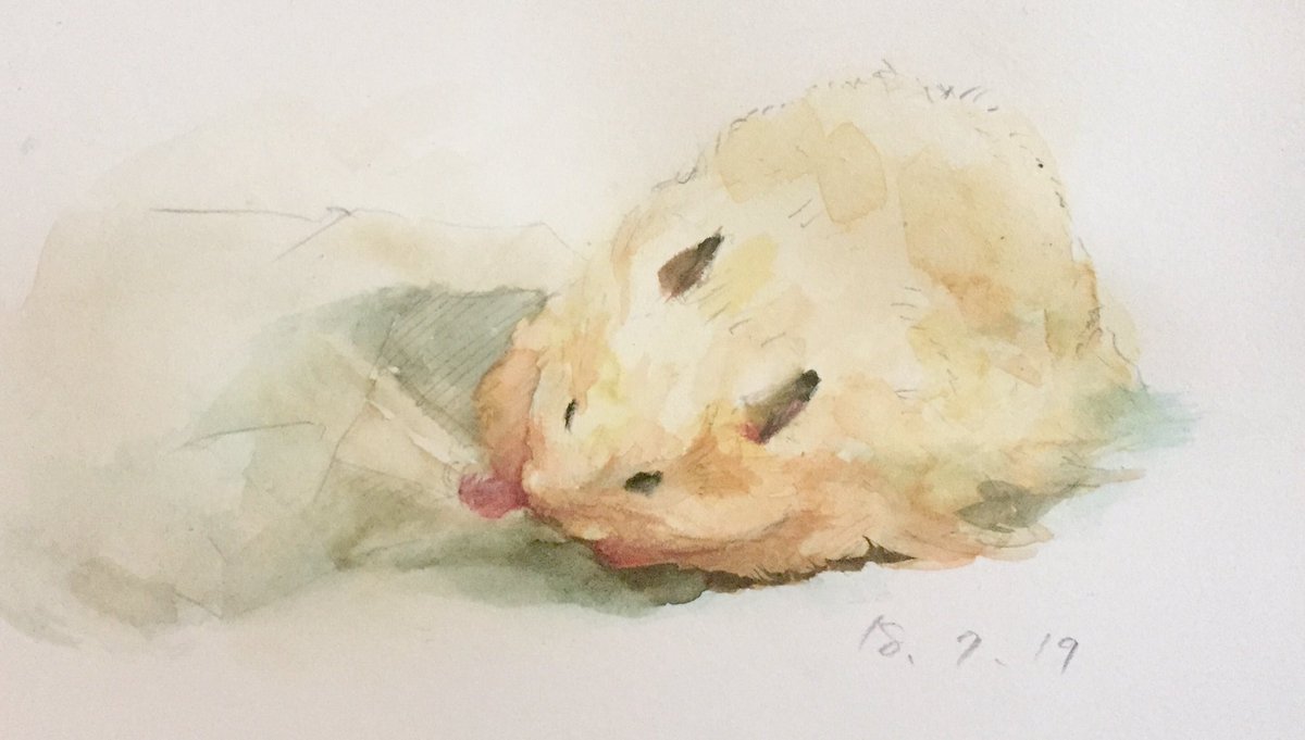 Gotte Hamsterpainter イラスト 水彩画 Watercolor ハムスター キンクマハムスター キンクマ 動物 Animal Hamster Hamstergram Illustrate Iillust Art Drowning