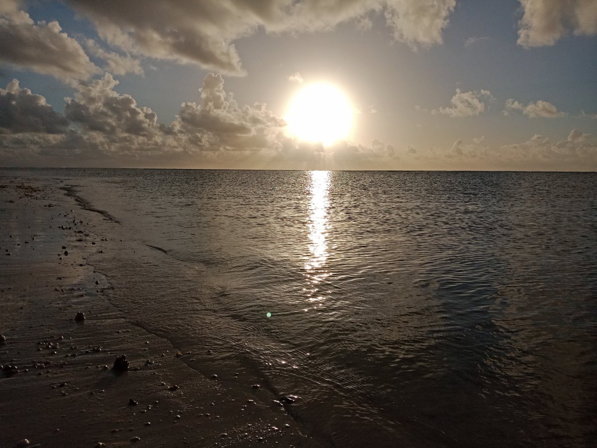 air_erp's tweet photo. We have available seats to Malindi going for 4,333 shillings ! Book with us today ! ๐
Fly with us today !
This is definitely a weekend plan !
#mytristarmoment
#letsallfly https://t.co/3Ntc5FyUOM