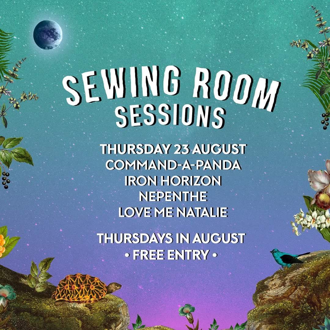 Command A Panda tweet media