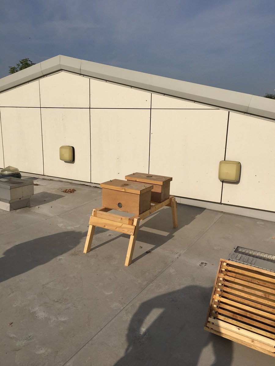 BeesNorbridge's tweet photo. We have had a very exciting delivery this morning! Norbridge Bees are here! https://t.co/RbOV3TfyUk