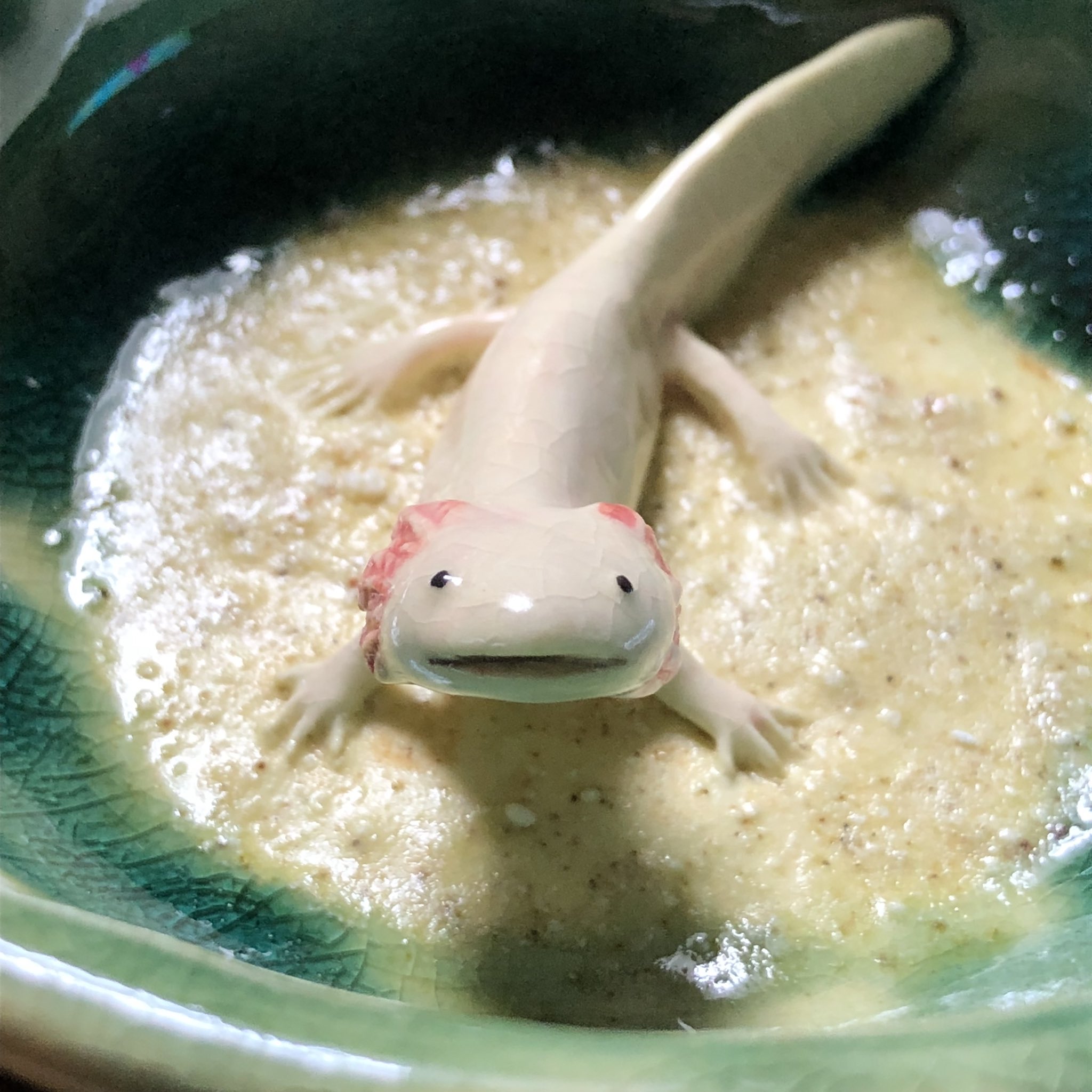 兎 ウーパールーパーの器出来ました か 可愛い T Co Oyzi27xywu Twitter