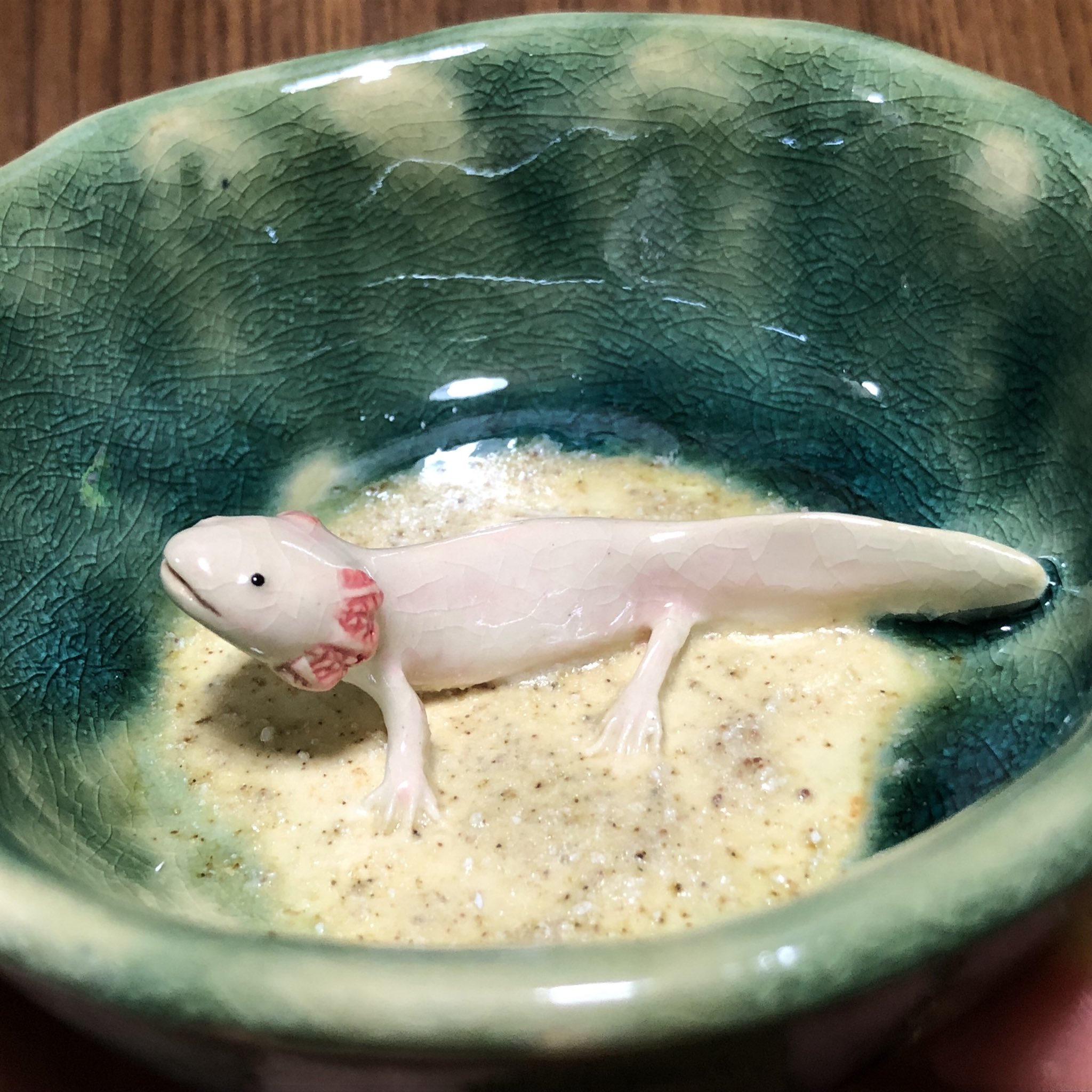 Twitter 上的 兎 ウーパールーパーの器出来ました か 可愛い T Co Oyzi27xywu Twitter