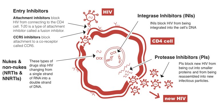MedBiotechnol's tweet photo. #Autoimmunedisorders #HIV #Drugs https://t.co/hkYP9uPW4h