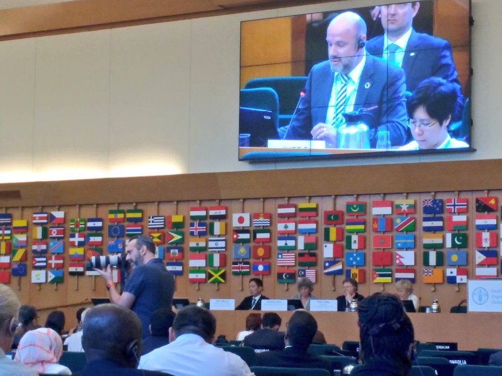 IFSAdotnet's tweet photo. Alexander Buck from @IUFRO invites all to the "Cool Forests Conference" #IBFRA18 during the boreal and temperate forests plenary at #COFO24. Join #IBFRA18 this September to discuss about the multiple and critical values of temperate forests @FAOForestry https://t.co/6HJeAHz0j1