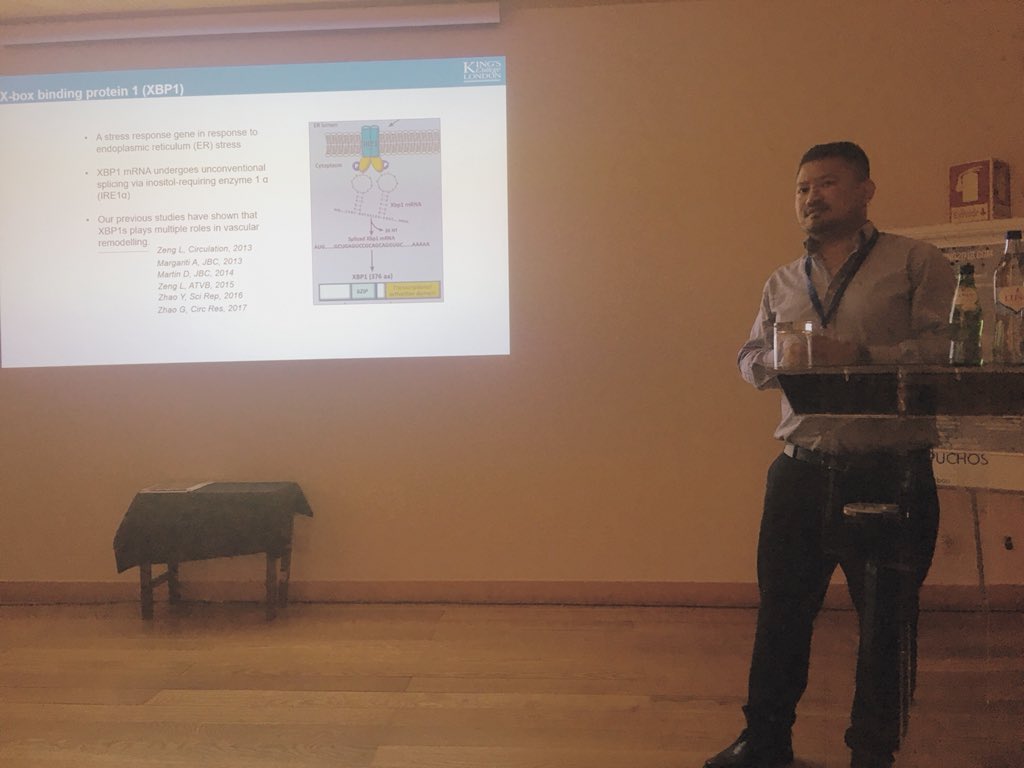 angshumonikPhD's tweet photo. Thank you for a wonderful Splicing conference. Enjoyed a lot learning, sharing our research and Portuguese culture #splicing2018 https://t.co/Pm5vA7uyYQ