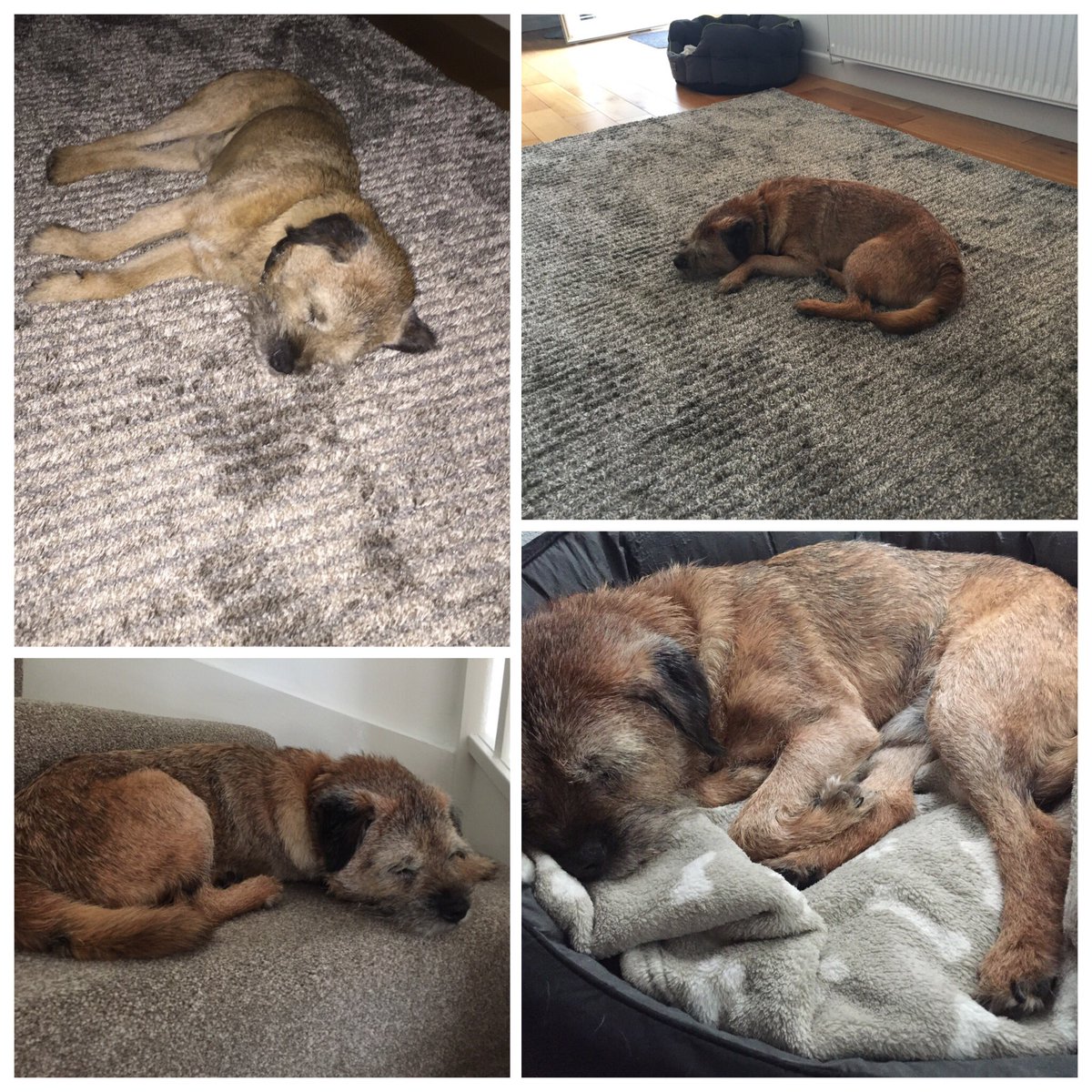 MrSebBT's tweet photo. Bt Top Tip - How to cope with heat wave #sleepthroughit #BTposse https://t.co/jwWIXvYTfd