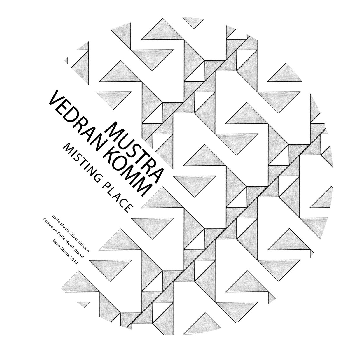 Baile Musik tweet media