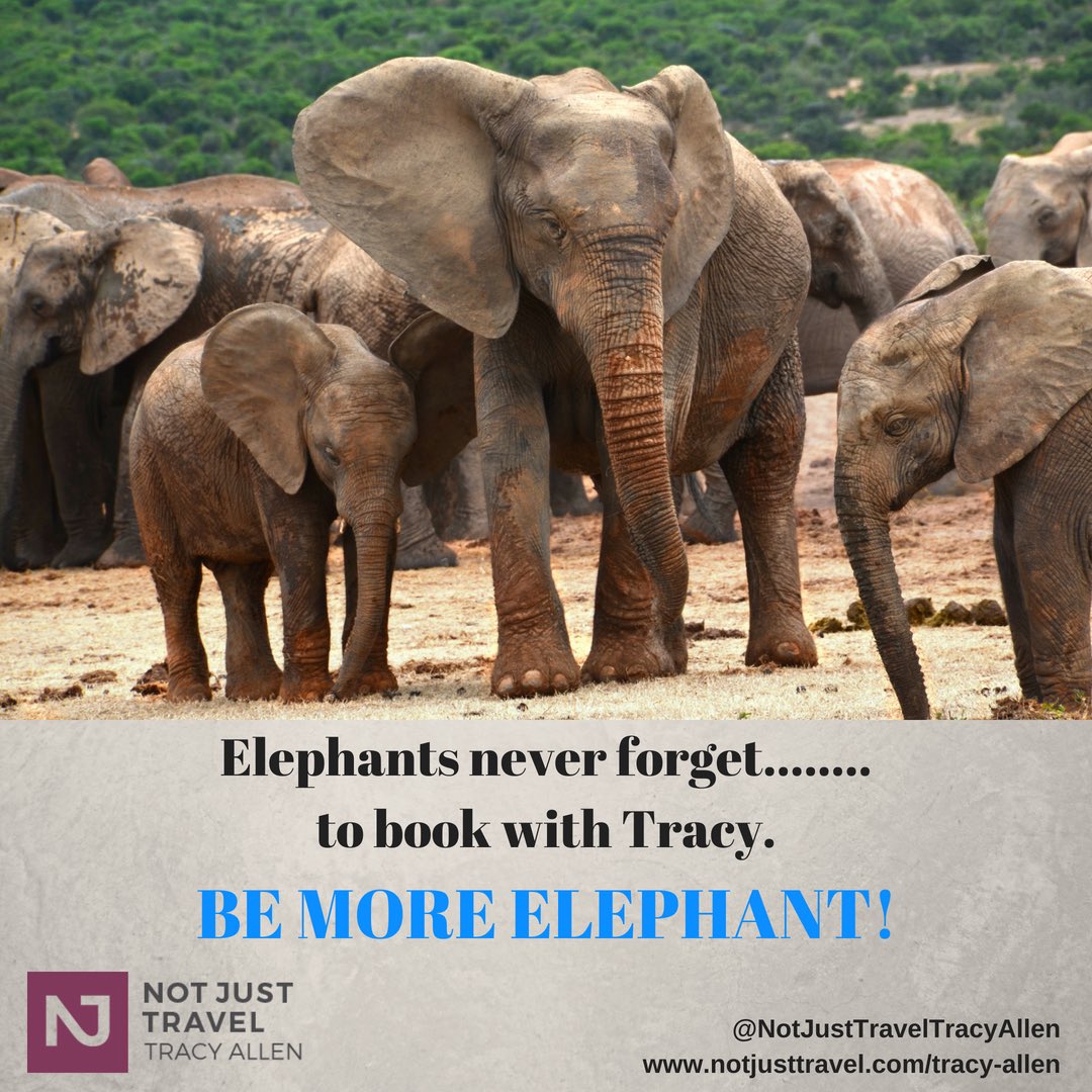 #bemoreelephant
