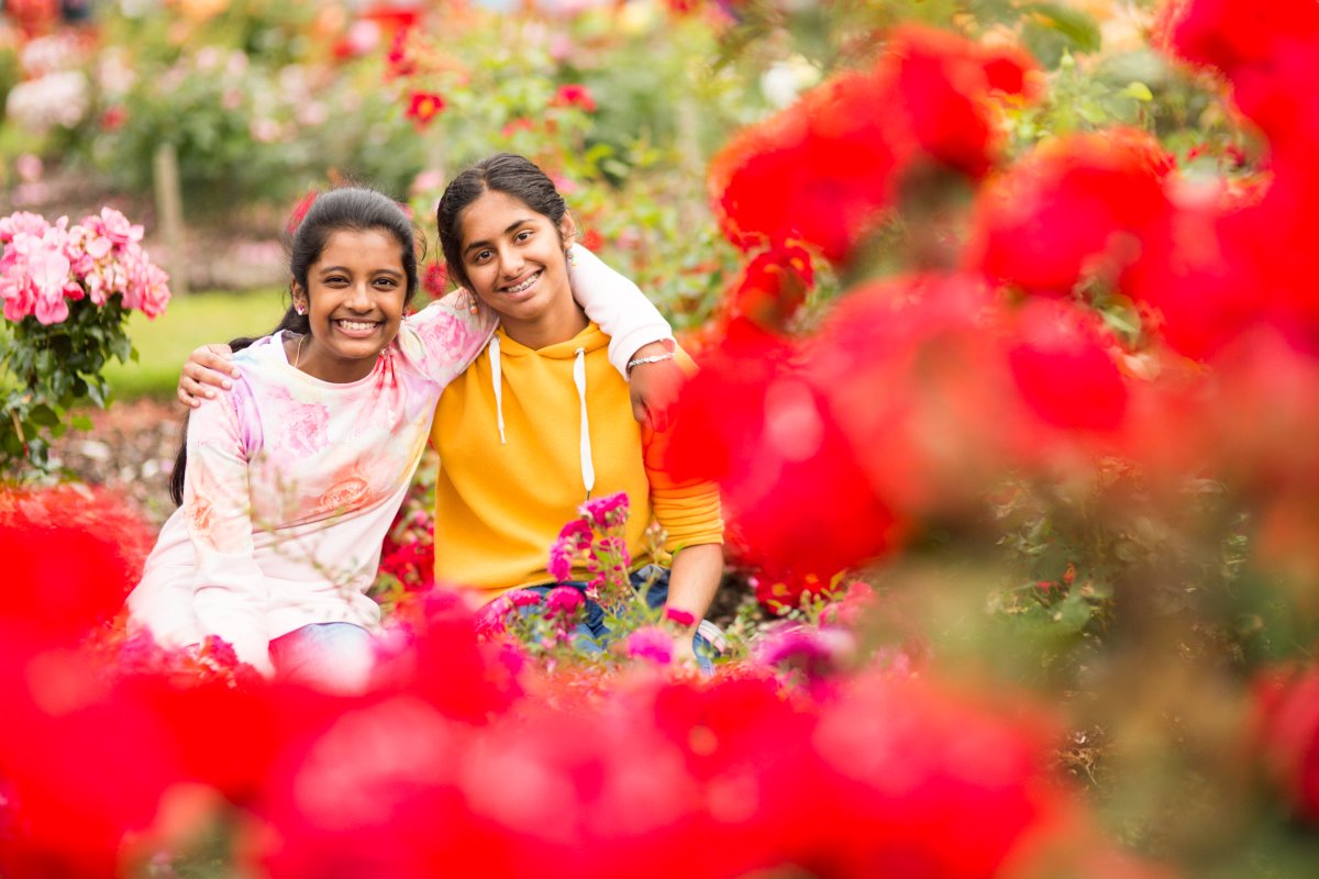 belfastcc's tweet photo. Make a day of it at #RoseWeek18 with lots going on for all the family. Enjoy live music & dancing, free yoga workshops & food demos, followed by a dander round our beautiful rose displays - https://t.co/0QSXAhoUa4 https://t.co/7ahMqkUqIS