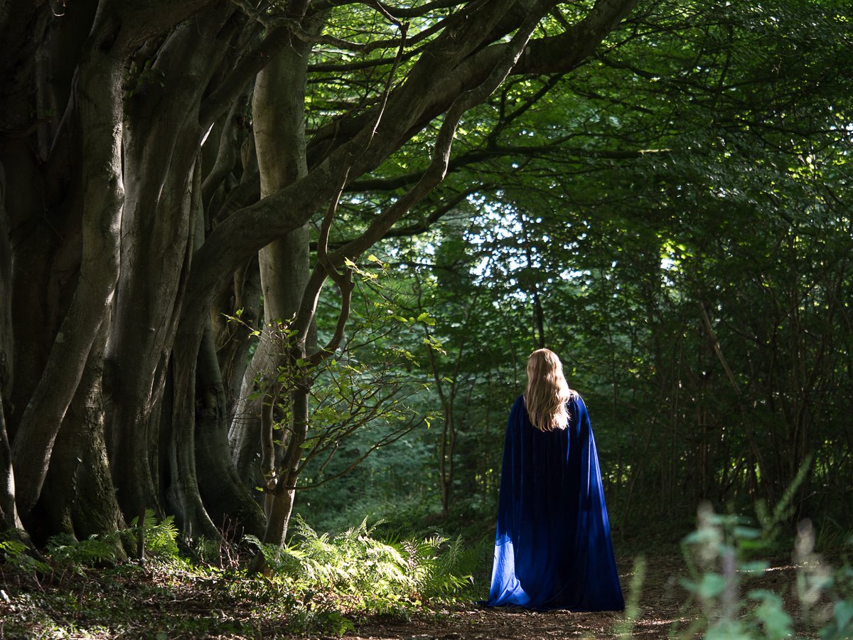 Girl beside beech trees