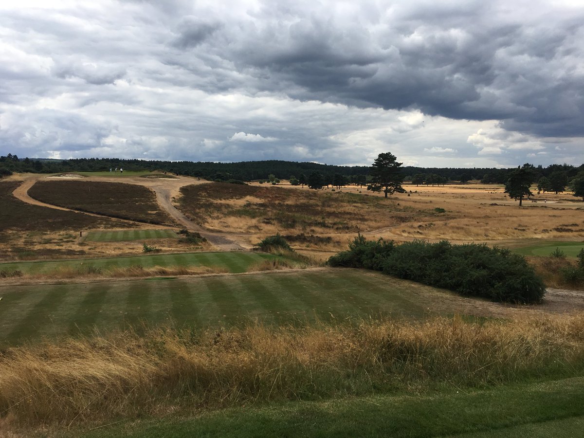 Kane Gilder Coaching tweet media