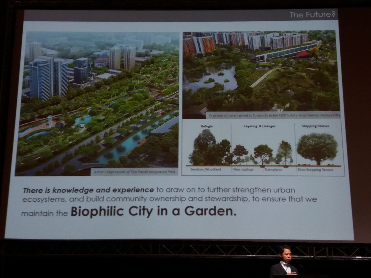 50 years of experience and knowledge to strengthen urban ecosystems and involve the community. From #cityinagarden towards a #biophiliccity @nparksbuzz #IFLA2018