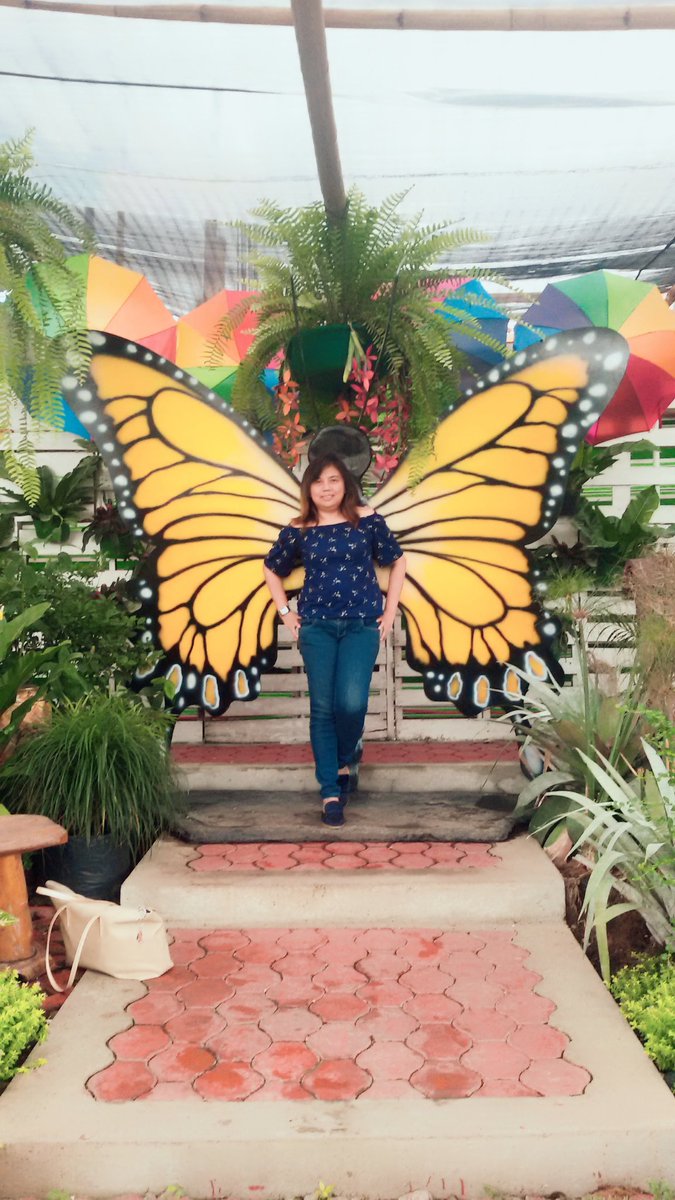 ijid's tweet photo. https://t.co/wDNoS3tdGF